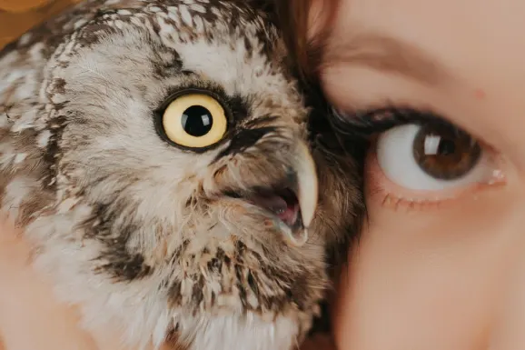 Casino Lucky Tiger Stuðningur